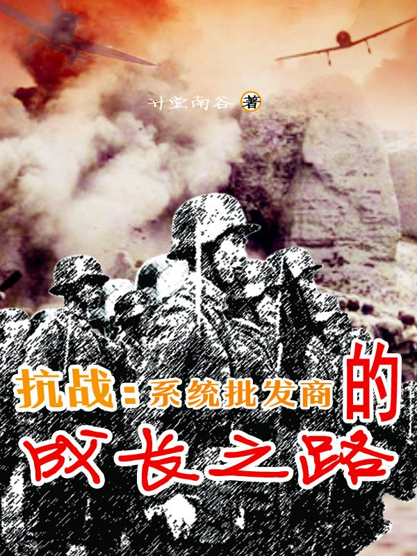 抗战系统批发商的成长之路